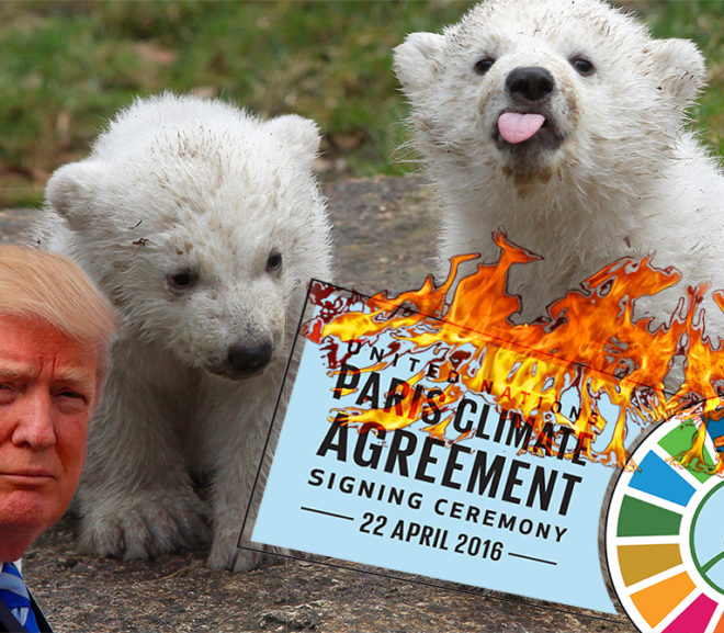 Trump Explains Trashing of Earth to Polar Cubs