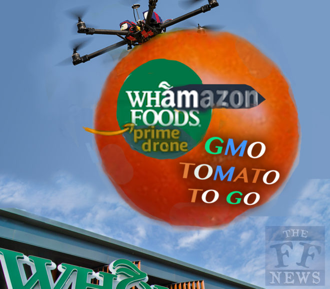 WhAmazon! Launches Giant Tomato Drone